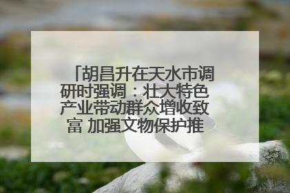 胡昌升在天水市调研时强调：壮大特色产业带动群众增收致富 加强文物保护推动文化创新发展